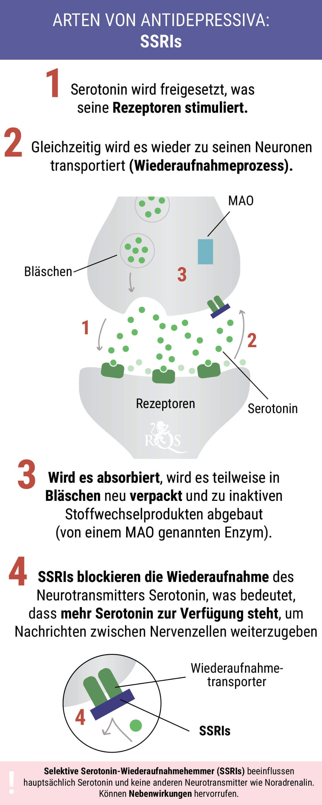 Wie Cannabis mit Antidepressiva interagiert RQS Blog